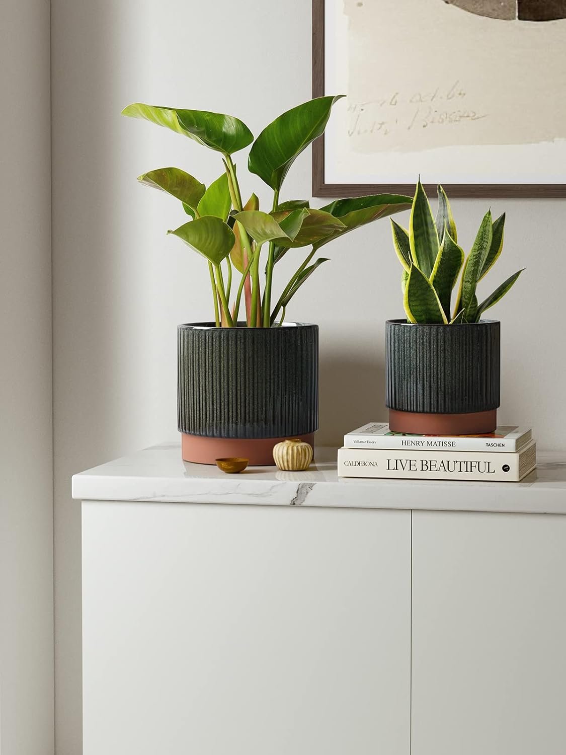 Ceramic Plant Pots with Drainage Holes