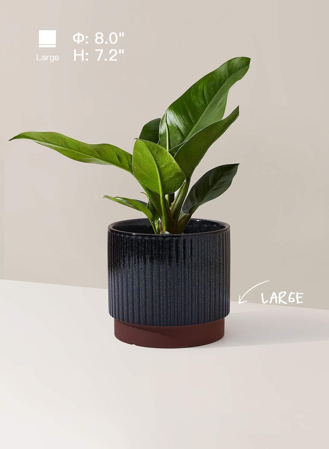 Ceramic Plant Pots with Drainage Holes