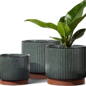Ceramic Plant Pots with Drainage Holes